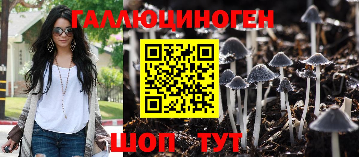 Омск  Псилоцибиновые грибы Psilocybe  Вход с VPN 