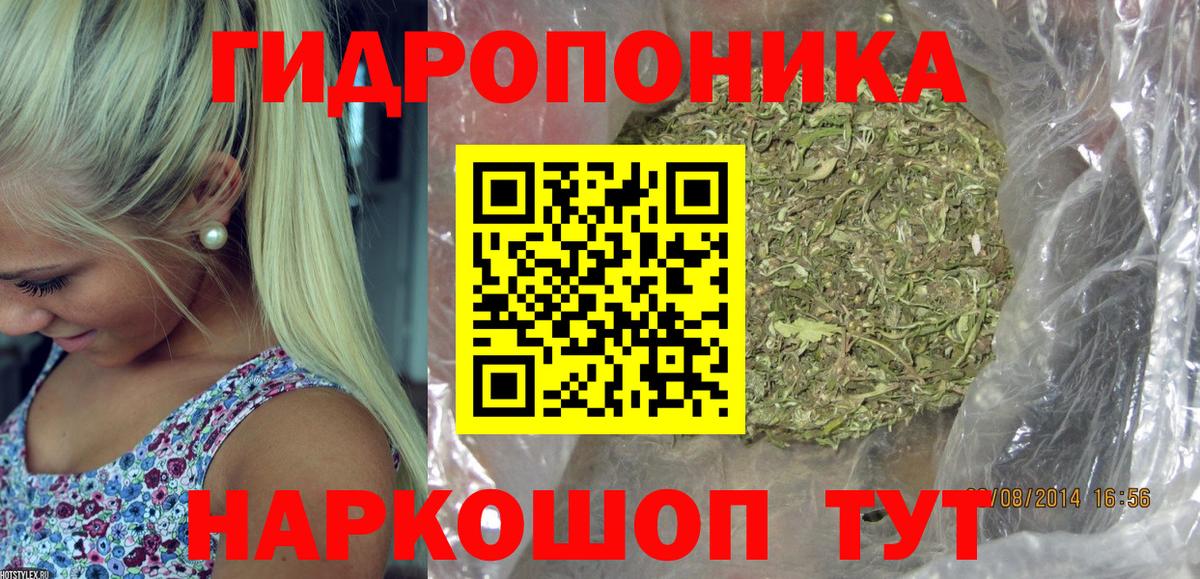 Омск  Каннабис план  Шишки марихуана AK-47  Вход с VPN  Конопля Bruce Banner 